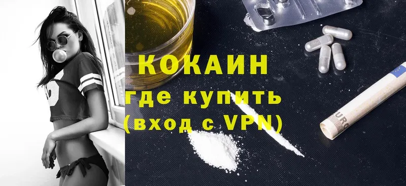 Cocaine Fish Scale  МЕГА маркетплейс  Ульяновск 