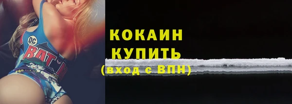 стаф Кукмор