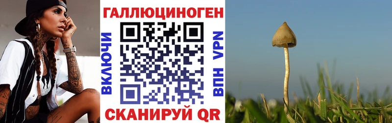 Галлюциногенные грибы GOLDEN TEACHER  Ульяновск 